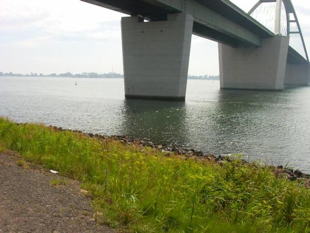 Bild-Thumbnail